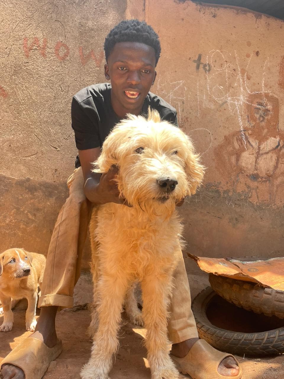 Young man posing with a large shaggy dog and puppy against a textured wall.